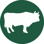 A green circle with the outline of a beef cow in the center.