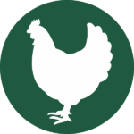 A green circle with the outline of a chicken in the center.