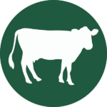 Green circle with an outline of a dairy cow