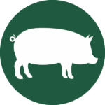 A green circle with the outline of a pig in the center.